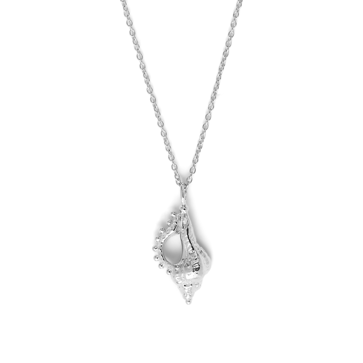 Collier-Coquillage-Argent-ADV-recto-zoom